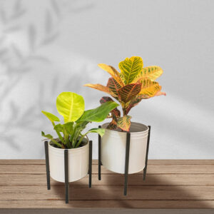 Ribbed Planter with Stand (Set of 2) - Stylish Metal Planters for Home and Garden