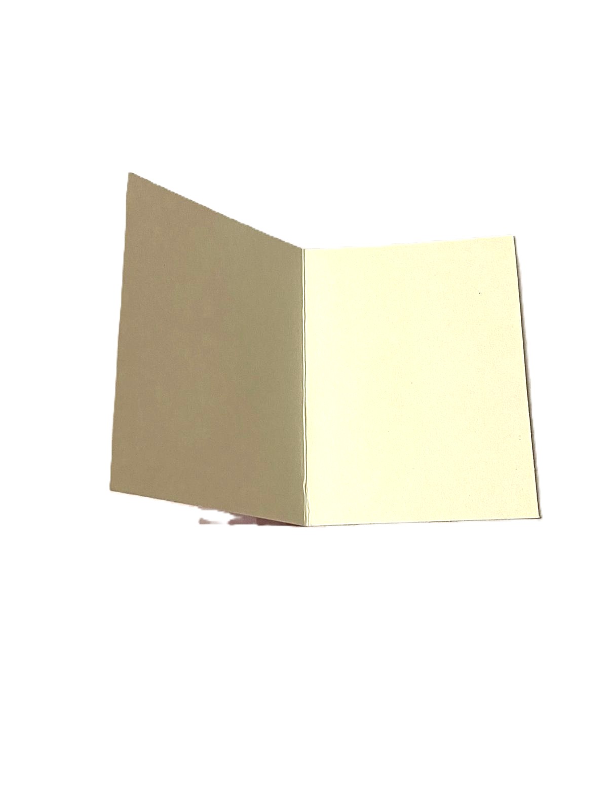 cd1076d5-f652-42e4-a294-ed12abce5e23 (1)