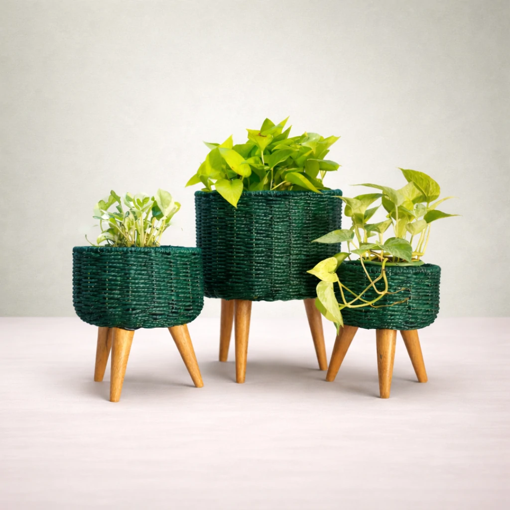 ngs-jute-iron-01