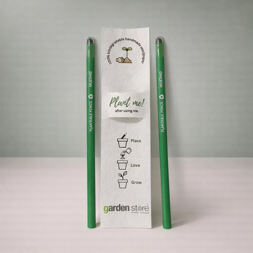 seed-pencil-mustard-01