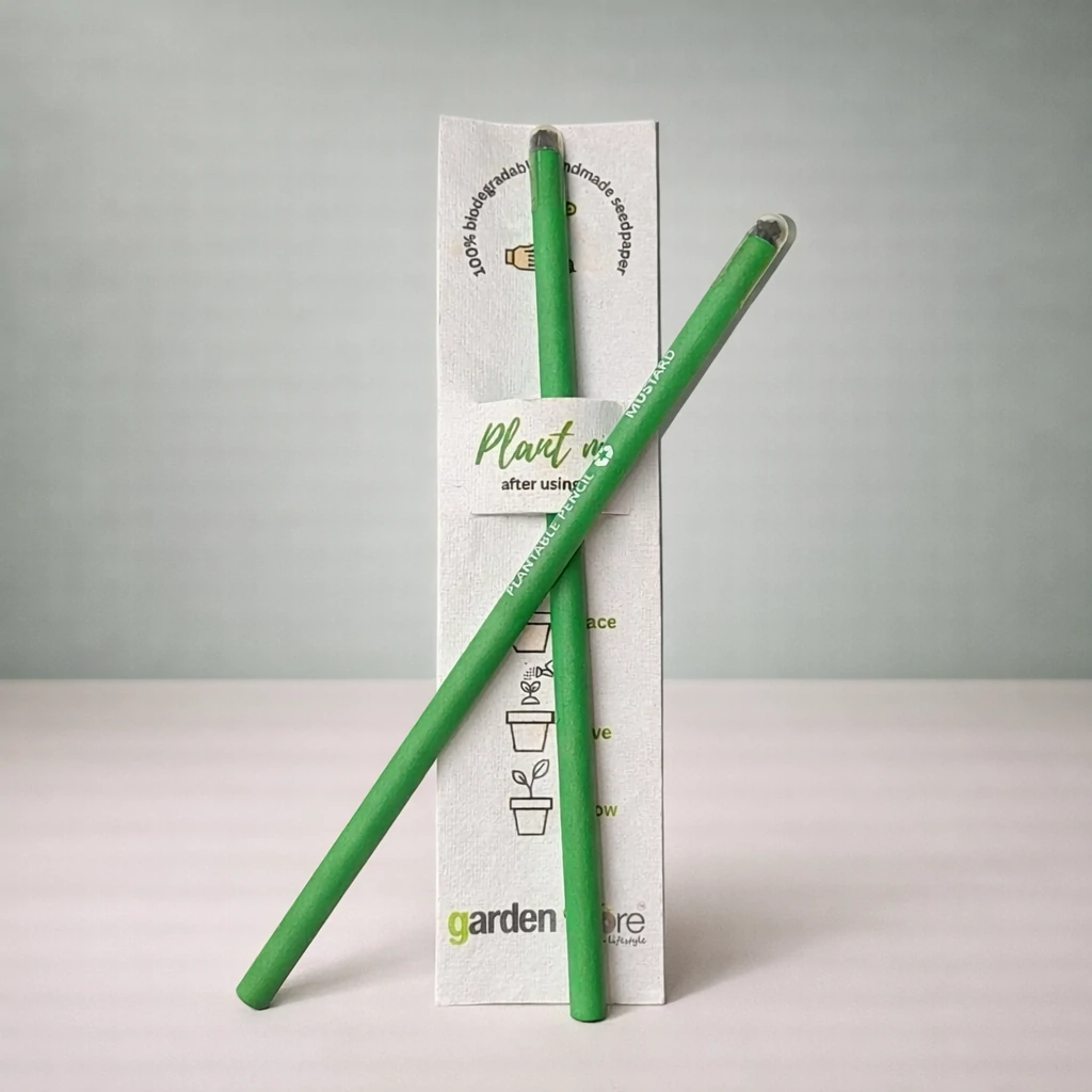 seed-pencil-mustard-02